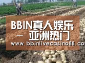 种植基地七(图1)
