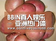 产品展示标题1
