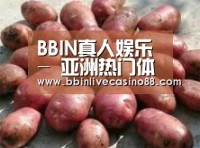 产品展示标题5(图1)